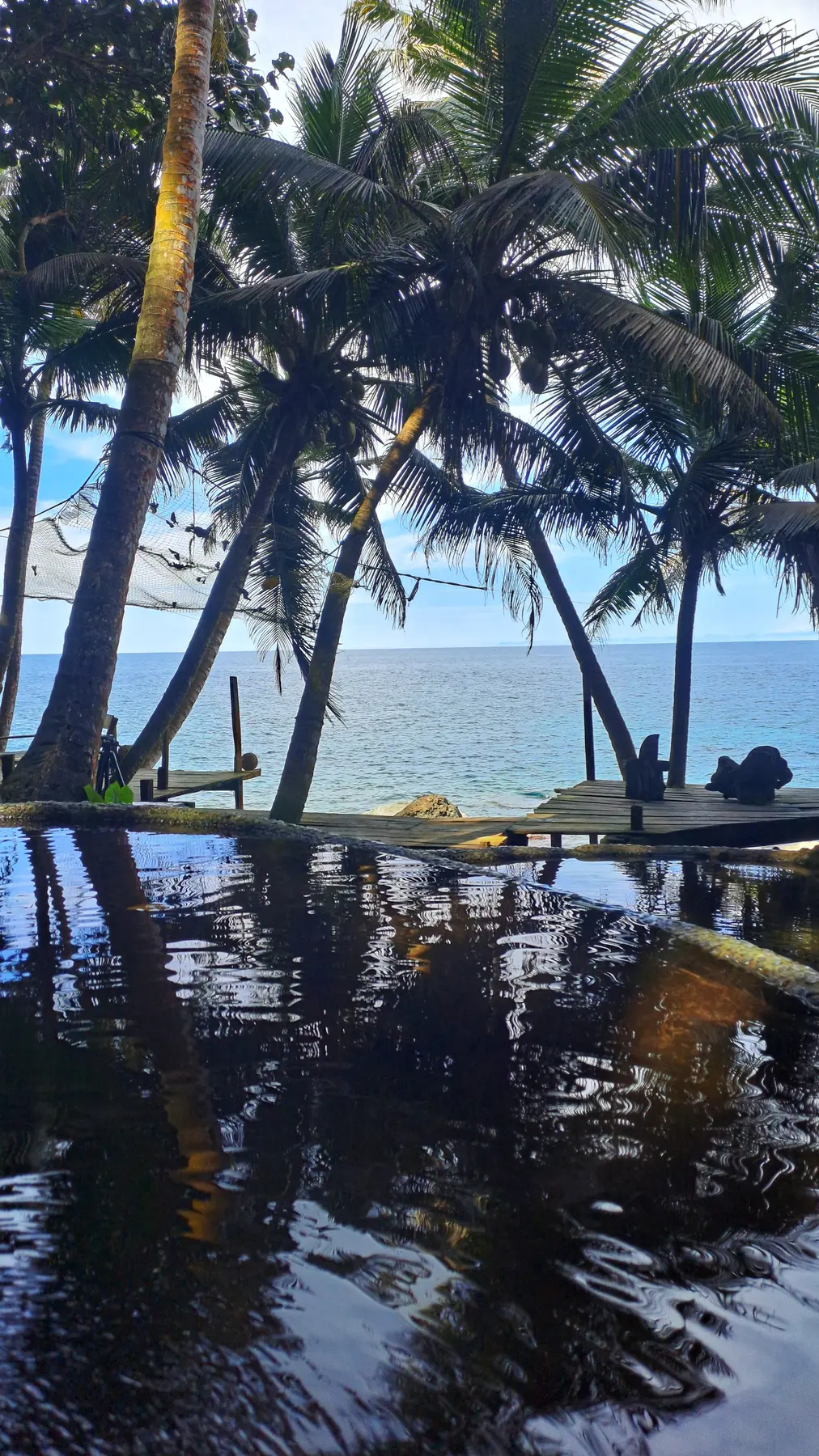 Palmeras y paisaje de mar en Capurganá