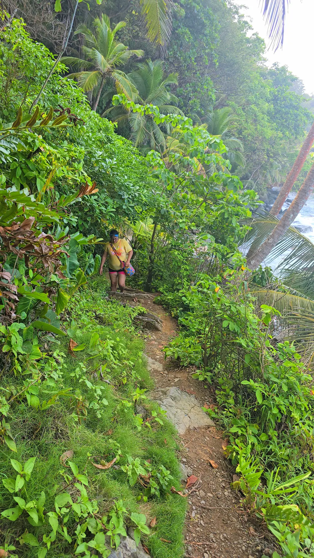 Caminante recorriendo un sendero costero entre la selva
